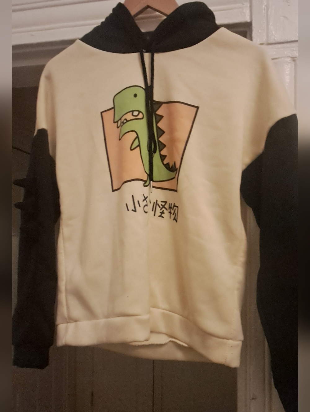 Dinosaur Hoodie